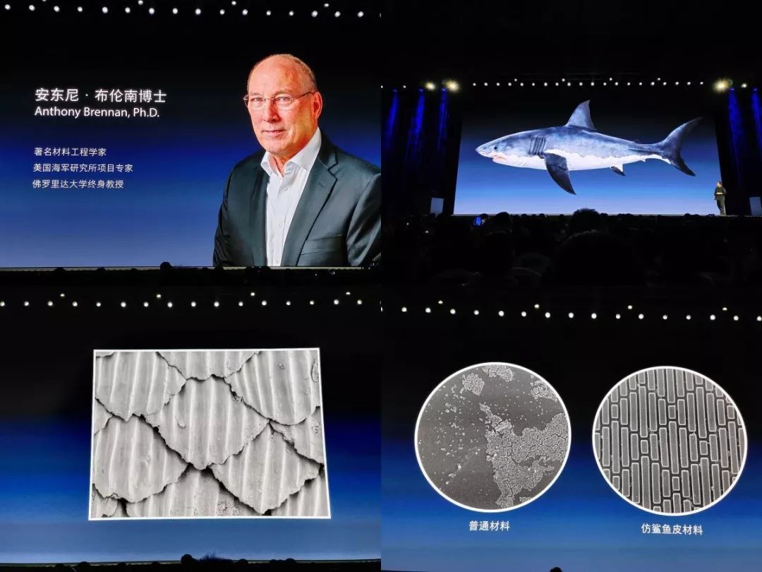 聊一聊今晚罗永浩发布的sharklet鲨纹技术