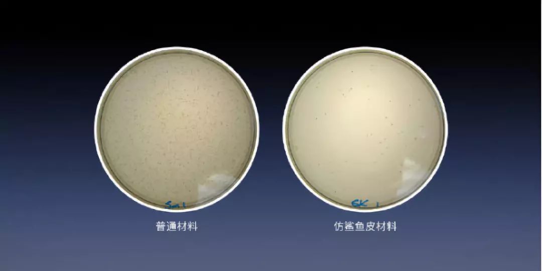 因此根据仿生鲨鱼皮的技术,发明出具有优良防污效果的微结构,并命名为