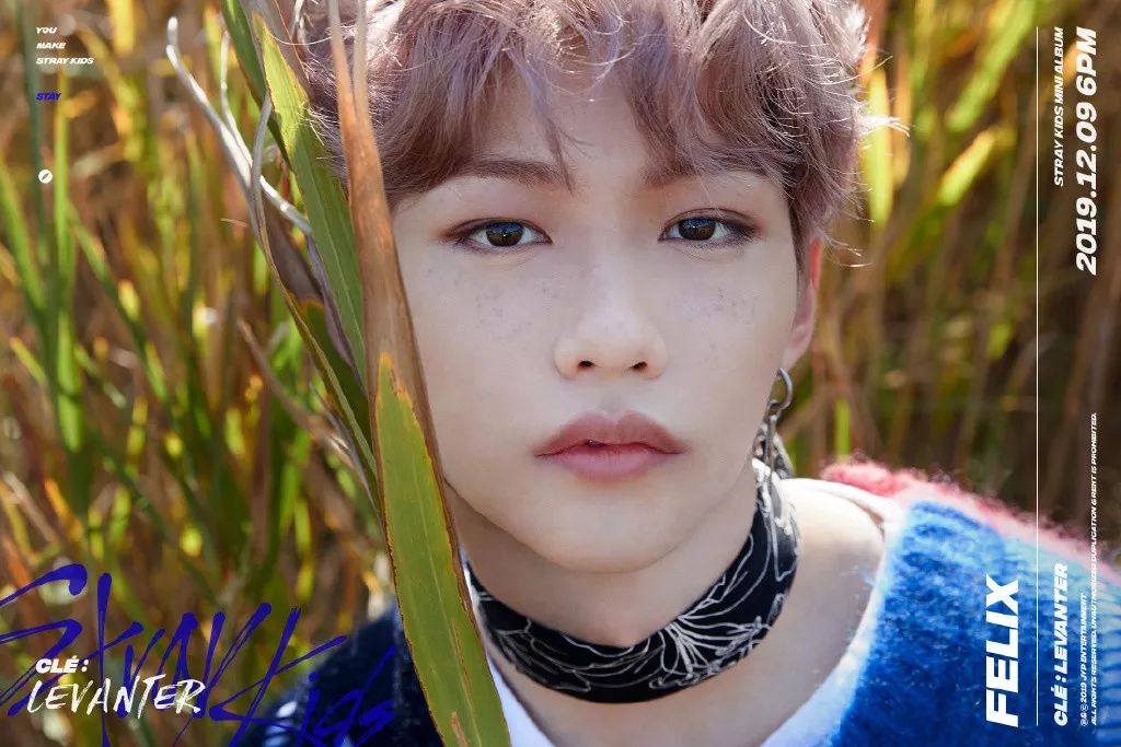 成员个人预告照再公开stray kids 迷你专辑 clé: levanter>成员 道英