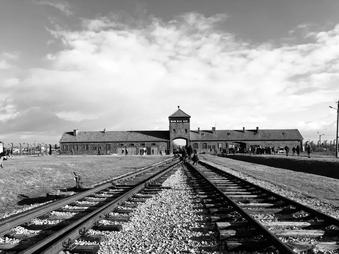 "奥斯维辛,特雷布林卡,特莱西恩施塔,毛特豪森,大屠杀,用煤气杀人:这