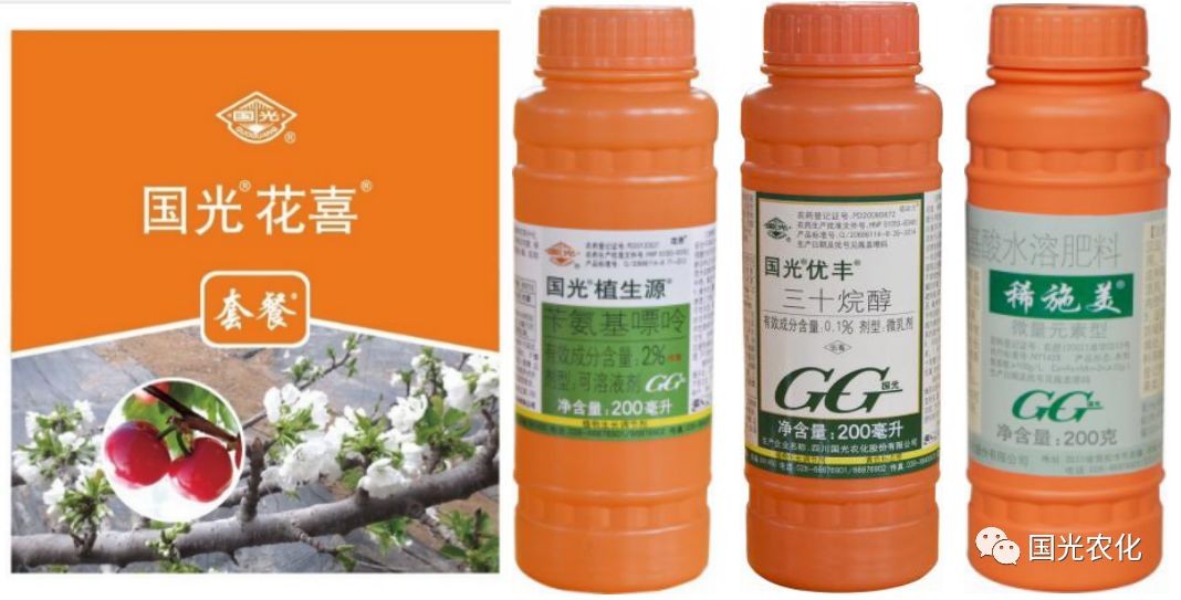 试验示范国光樱桃花喜套餐为萌芽开花整齐而来