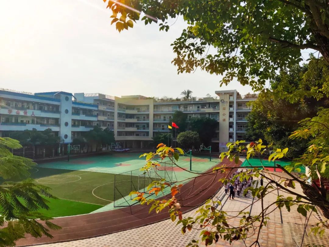 初冬的东莞校园,五彩斑斓!