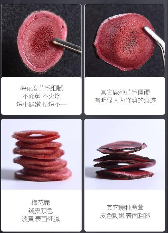 鹿茸分辨真假的方法——鹿锦天鹿产品