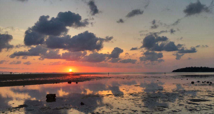 京东家电美的集团3年1500亿，定下中国家电逆势扩张新基调-家电圈官网