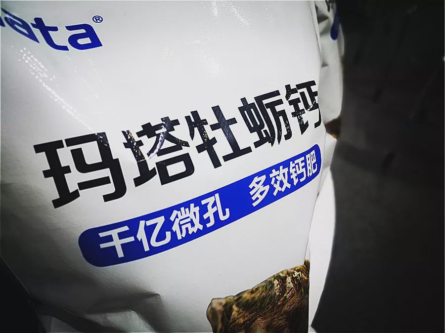 玛塔牡蛎钙牡蛎大王与美丽乡村的故事