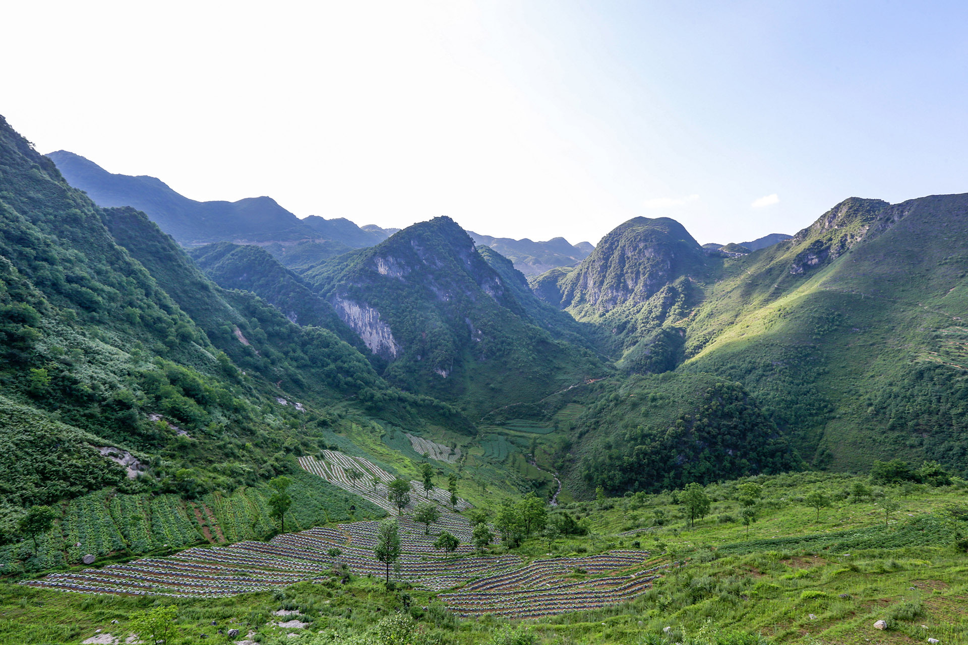 威宁石门乡团结村的脱贫攻坚之路