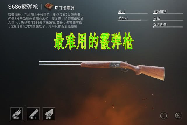 低配的,在和其他狙击枪相比这把枪的子弹弹道会出现严重下垂的状态