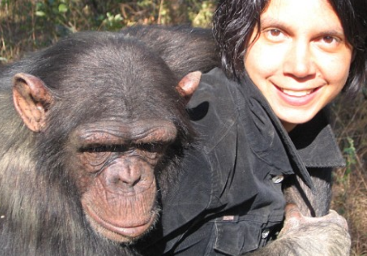 原创还记得那只和人类一同长大并认为它是人类的猩猩如今怎么样了