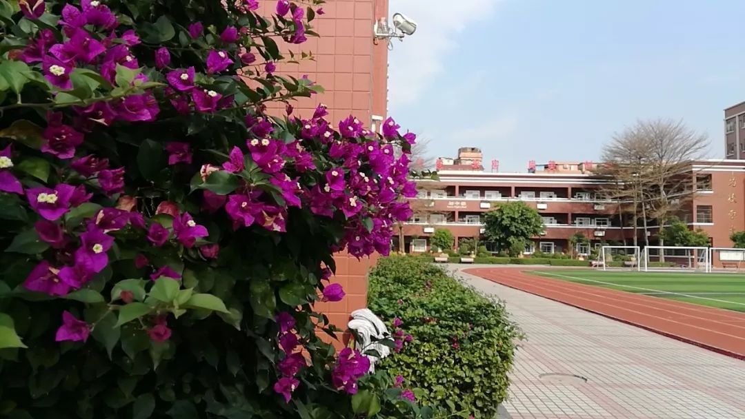 摄于 东莞市石碣文晖学校