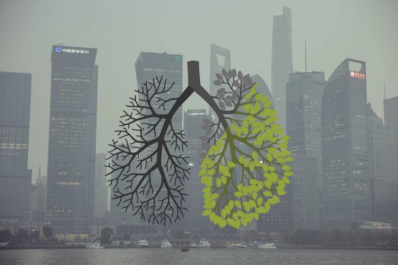 我们知道雾霾中对健康危害严重的是pm25