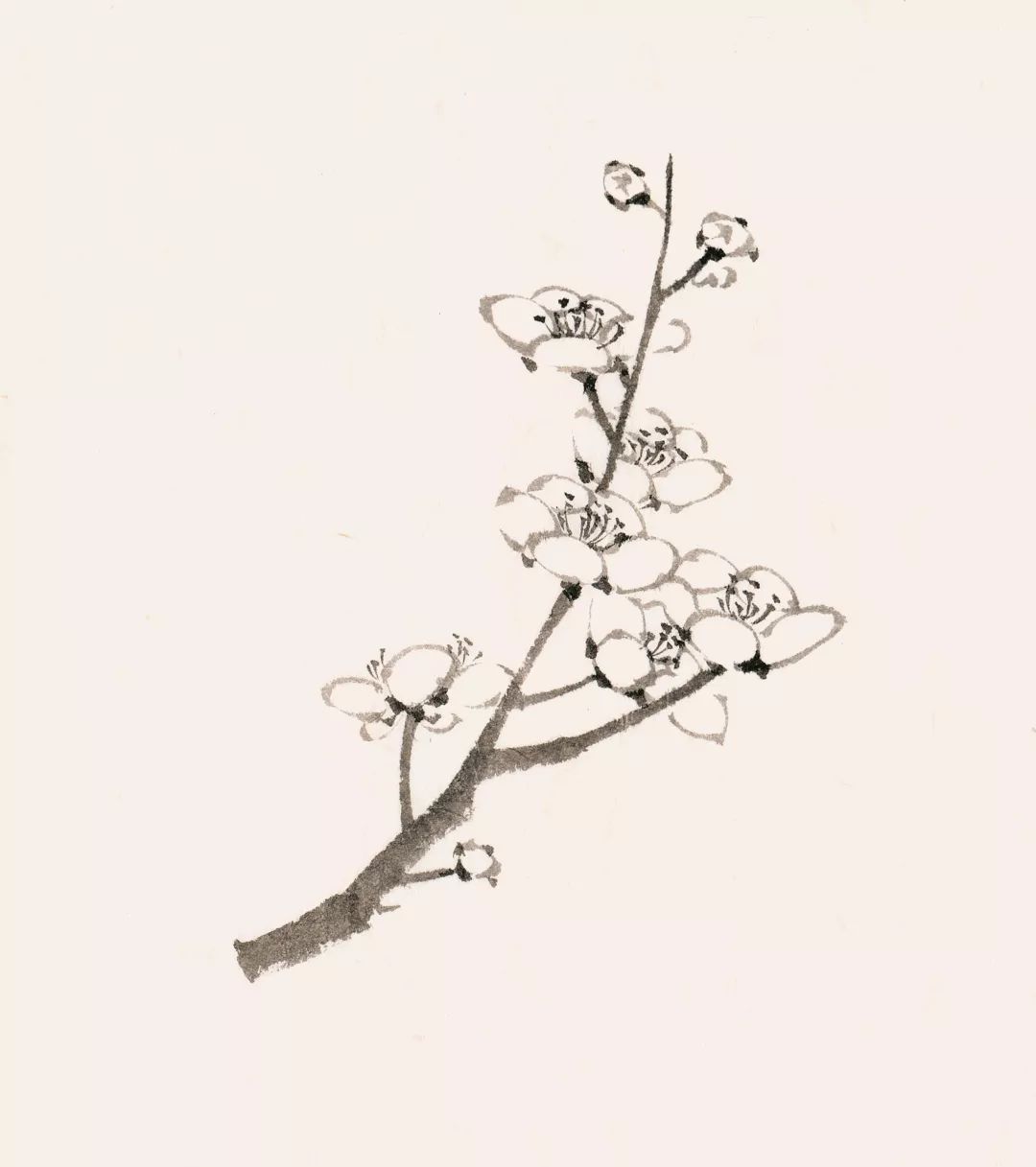 梅花入画冬日芳华愿你是一朵如梅的女子