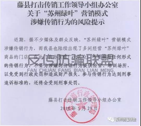 苏州绿叶传销