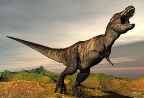 重达20吨的史前巨犀vs霸王龙,会轻松获胜吗?