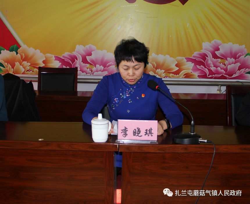 会议由镇党委书记张志勇主持.
