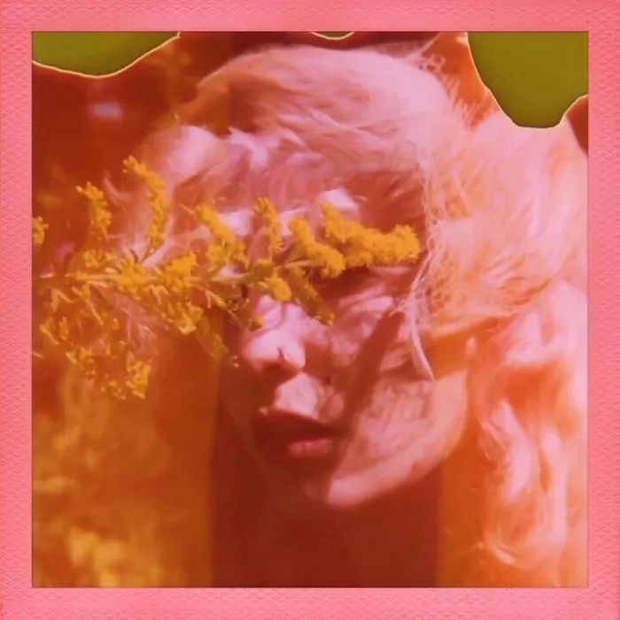 爱人的头颅应该高挂在城墙总好过让他流浪在别人身旁我的文章应该在你