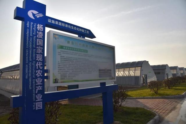 杨凌国家现代农业产业园创建的急先锋