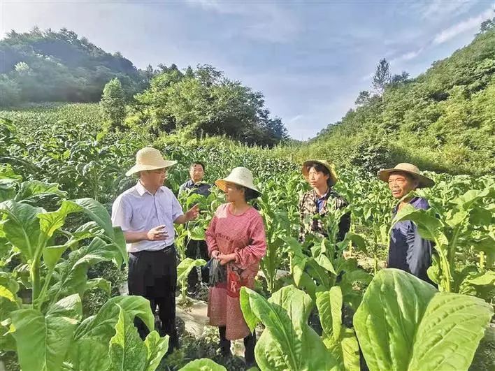 這個縣脫貧攻堅成效考核何以連續五次居全省第一?