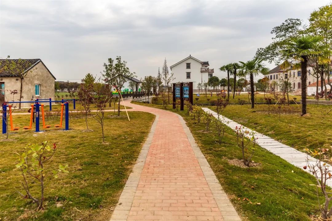 4611233让碧溪人民生活更美好