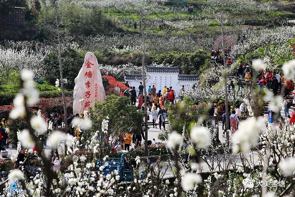 树弄李子苑景区●金塘仙人山景区位于金塘镇仙居村,景区内有海拔456米