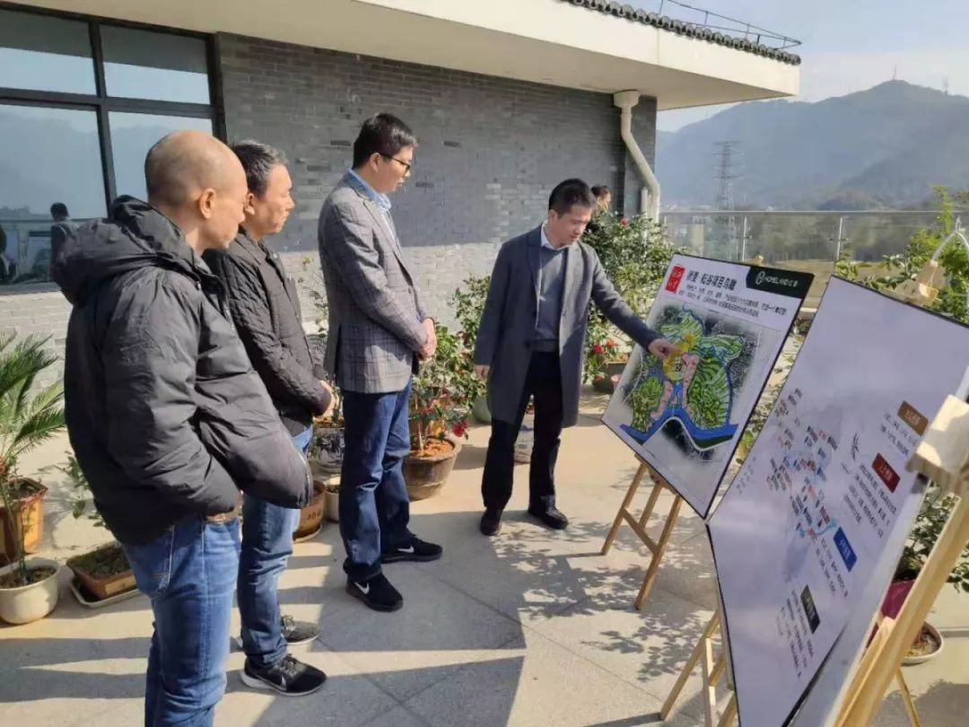 鹿城区委常委童文阳来藤桥视察先瓯原乡戍浦新韵乡村振兴示范带项目