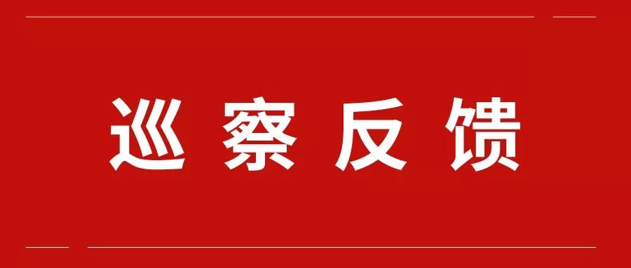 关注达州市委巡察组向三家单位反馈巡察情况