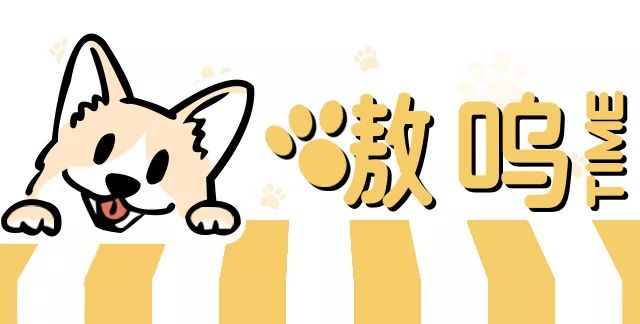 秋田柴犬柯基10萌犬任你撸新开狗咖来啦