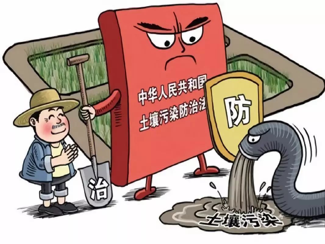世界土壤日吃土的我们怎能不关注土壤健康