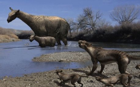 重达20吨的史前巨犀vs霸王龙,会轻松获胜吗?