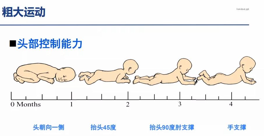 婴儿大运动发育参照图图片