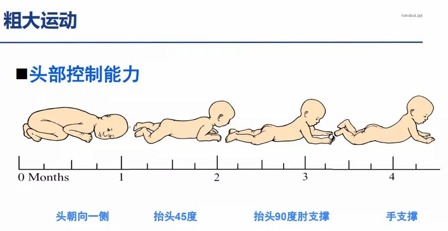 一,粗大运动上