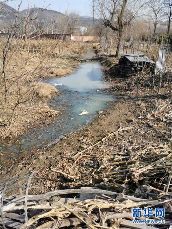 污水直排触目惊心!农村治污"梗阻"现象调查_生活