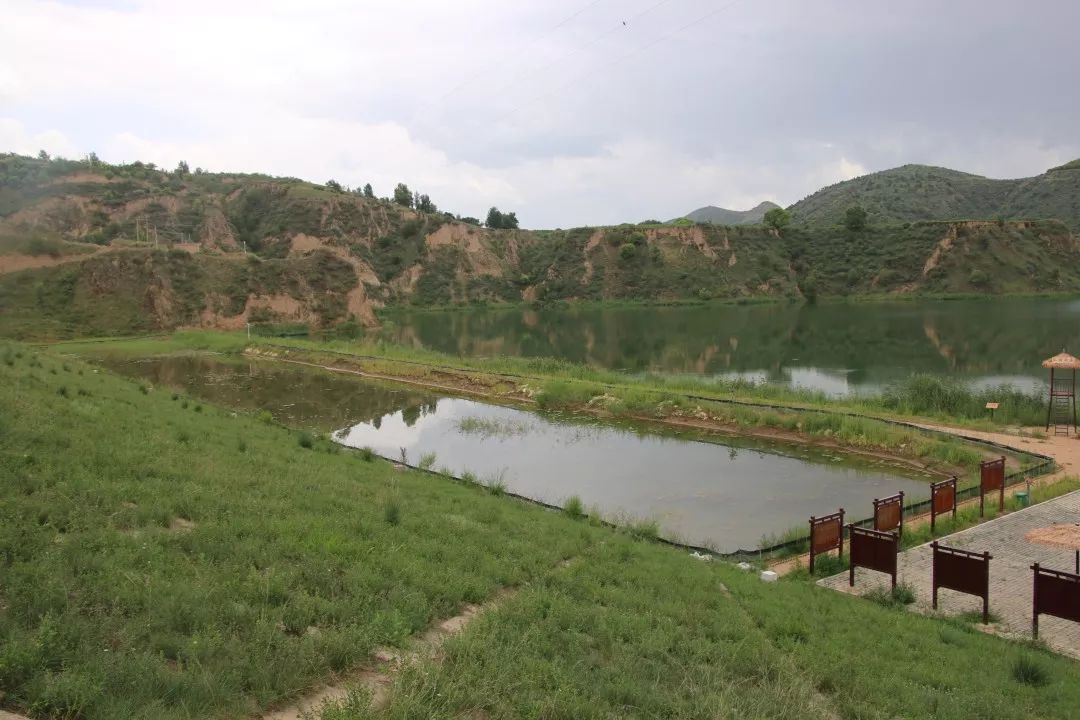 典型经验吴起县长城镇多举措消除集体经济空壳村