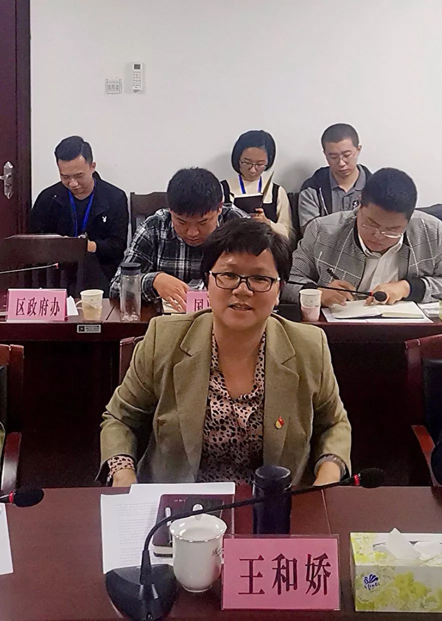 两个确保百日大行动琼山区委副书记区长王和娇主持召开重点项目调度会