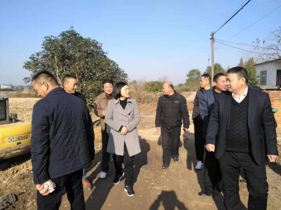 陶荣调研湾沚镇农村人居环境整治工作