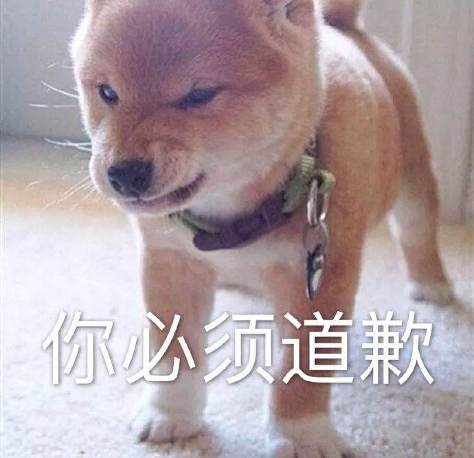 聊天斗图表情包单身狗的冬天格外寒冷