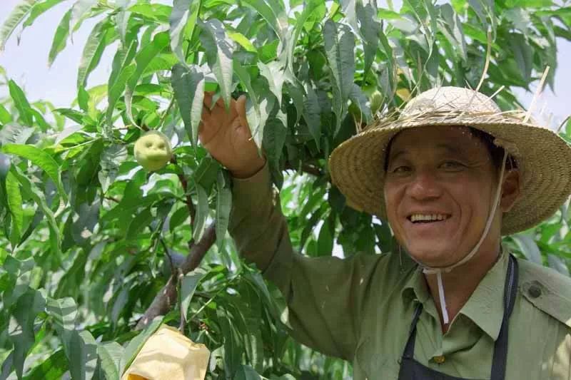 我的初心故事苏大伟一位憨大叔的初心与坚持