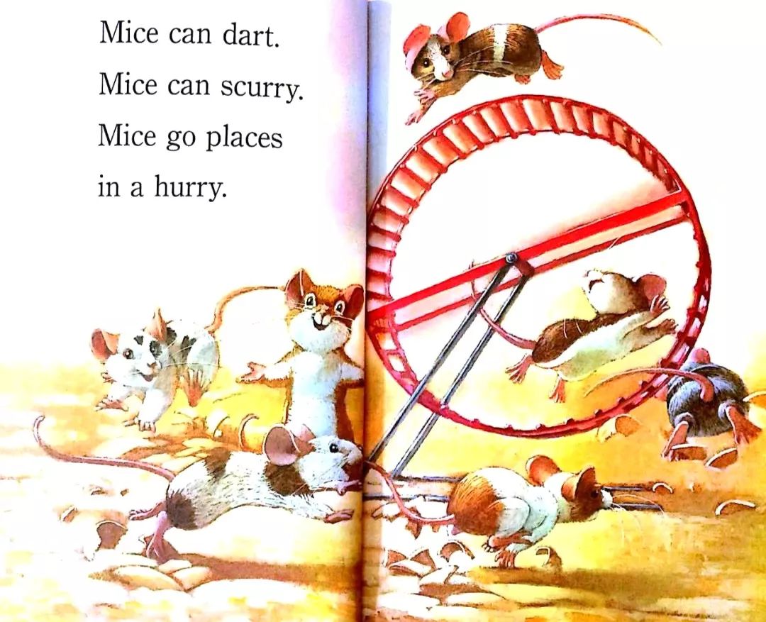 小老鼠能向前冲,老鼠能快快跑.mice go places in a hurry.