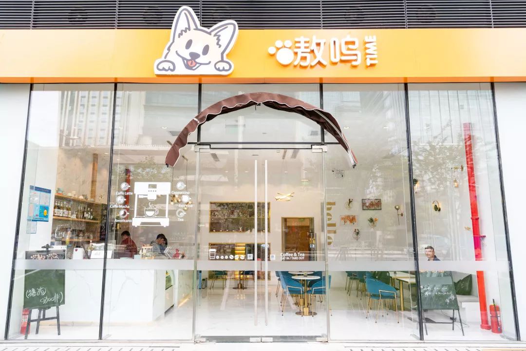 秋田柴犬柯基10萌犬任你撸新开狗咖来啦