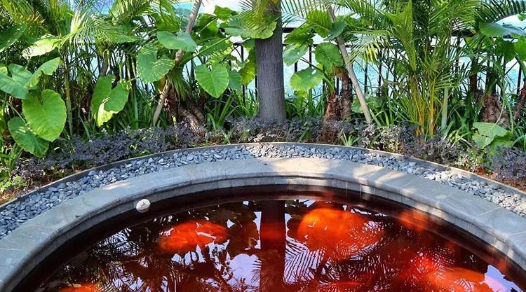 酒店位于惠州市双月湾虹海湾畔的半月湾,与另一半大亚湾相比,这里波涛