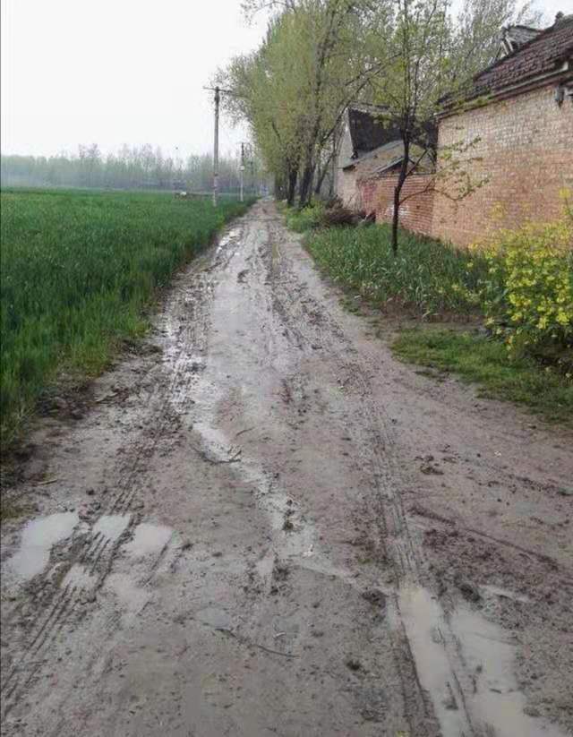 农村青年之路-致青春_泥土