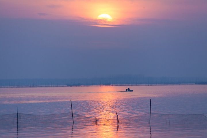 中国著名的淡水湖,也是是 安徽省淮河流域最大的湖泊,在这里钓鱼好像