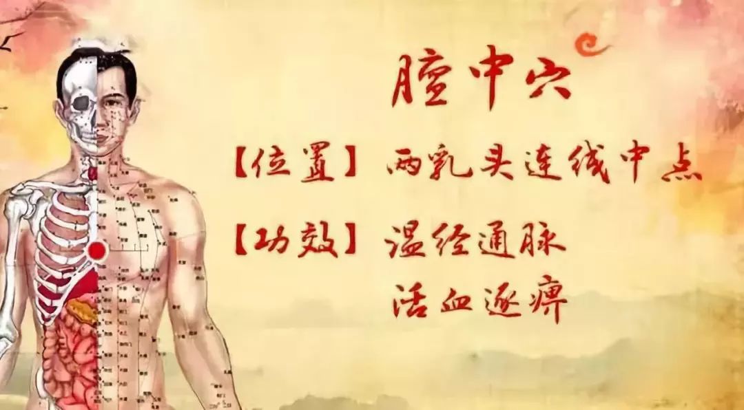 中医保健5大要穴,温经活络,补肾健脾!_关元穴