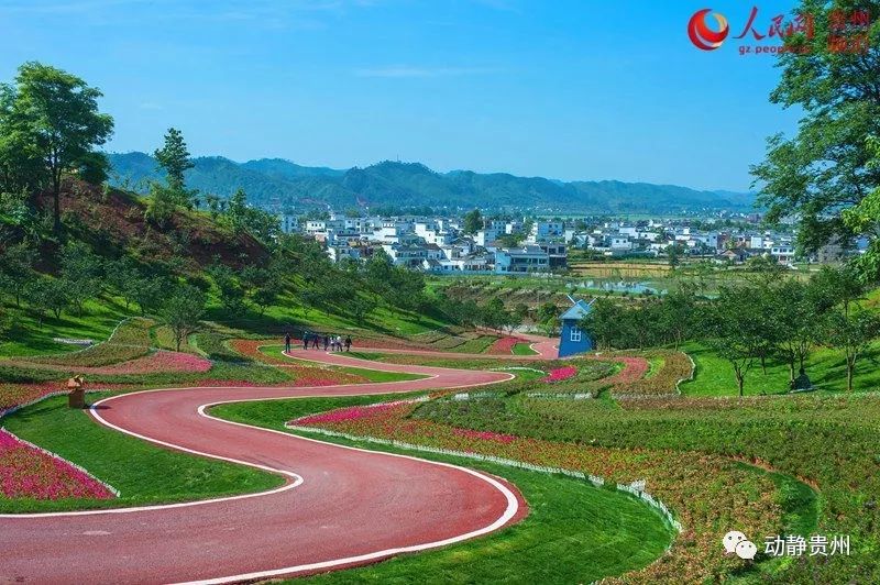 惠水好花红桔香花海.李永宏 摄