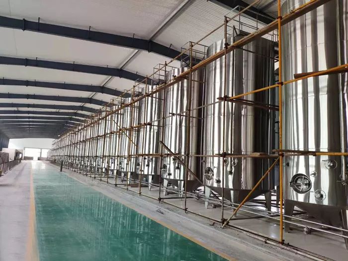 【品酒】葡萄酒是如何发酵的?