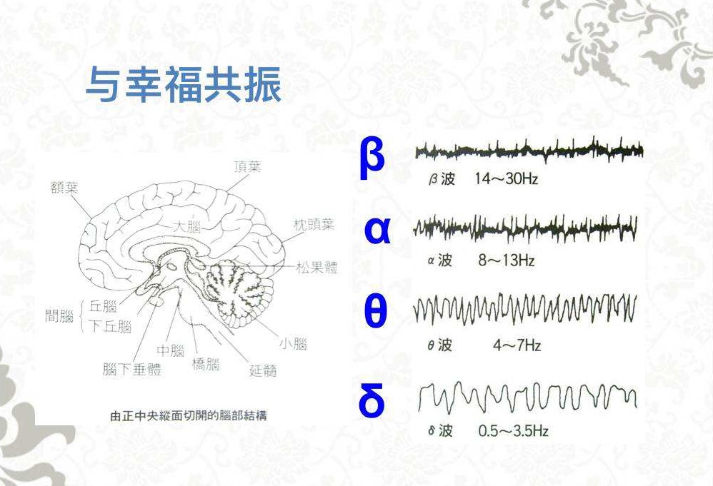 英国快速学习革新家科林61罗斯说:"α脑电波以放松和沉思为特征,是