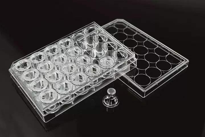 常用于transwell侵袭实验的细胞培养板有6孔板,12孔板,24孔板等,以24