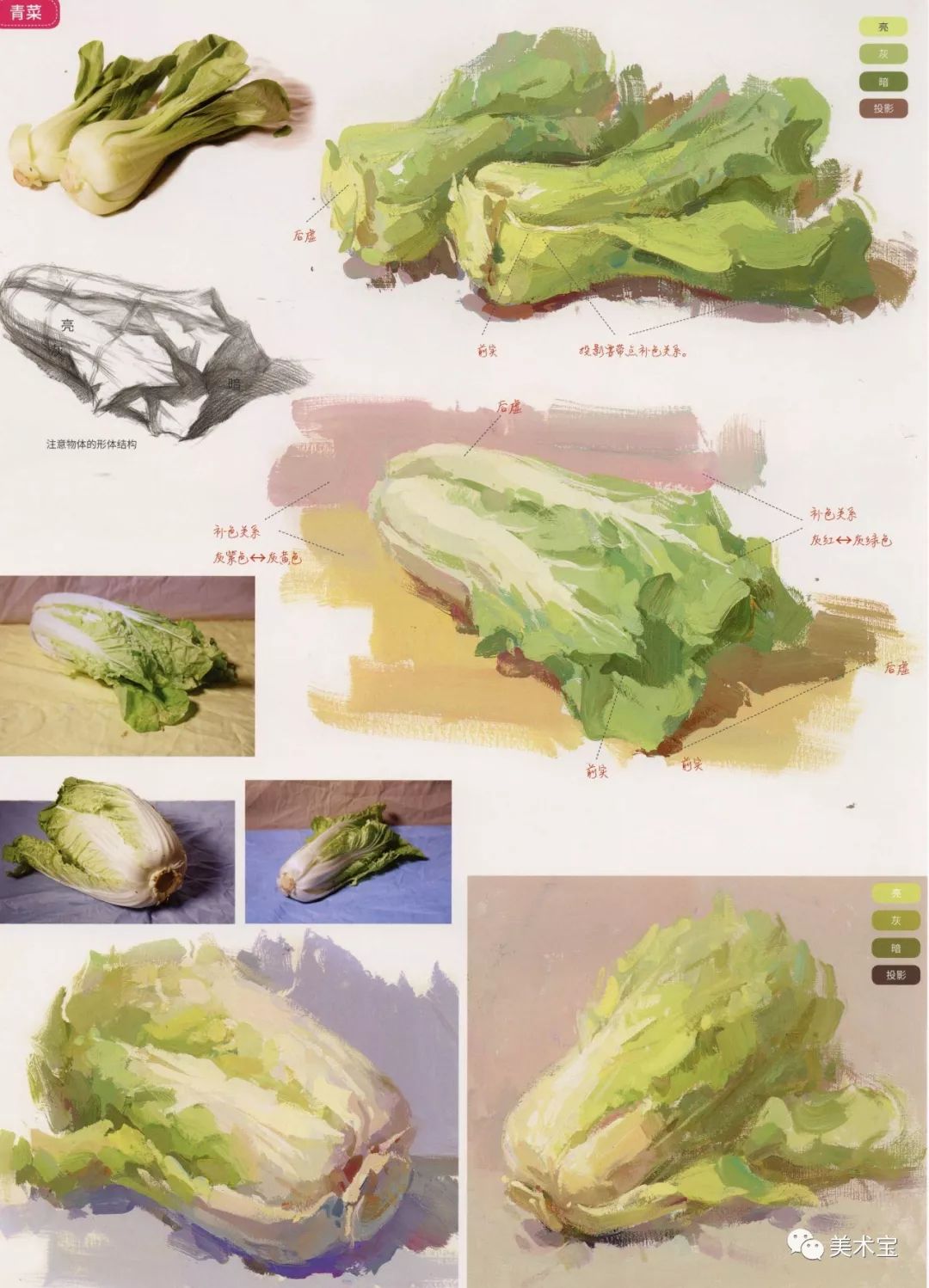 临摹精选丨联考必备色彩静物蔬菜单体临摹范本