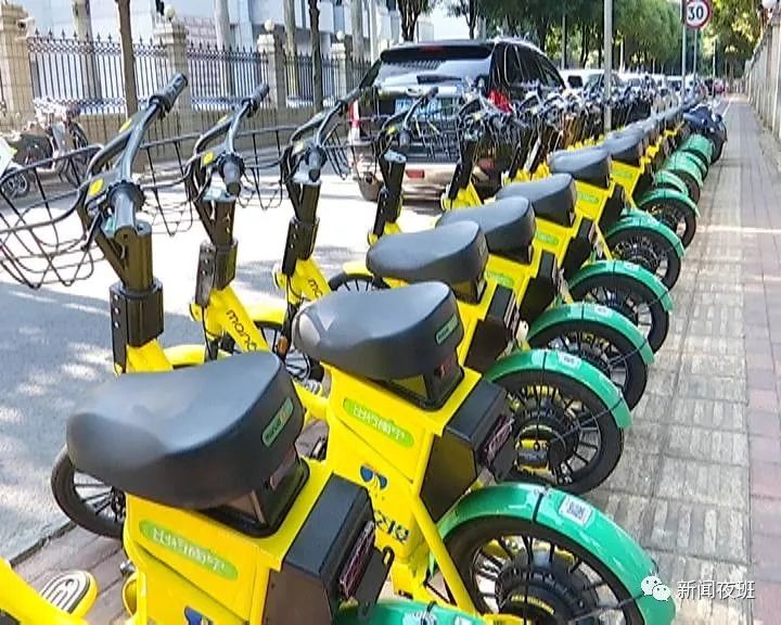 1000辆共享电车亮相南宁