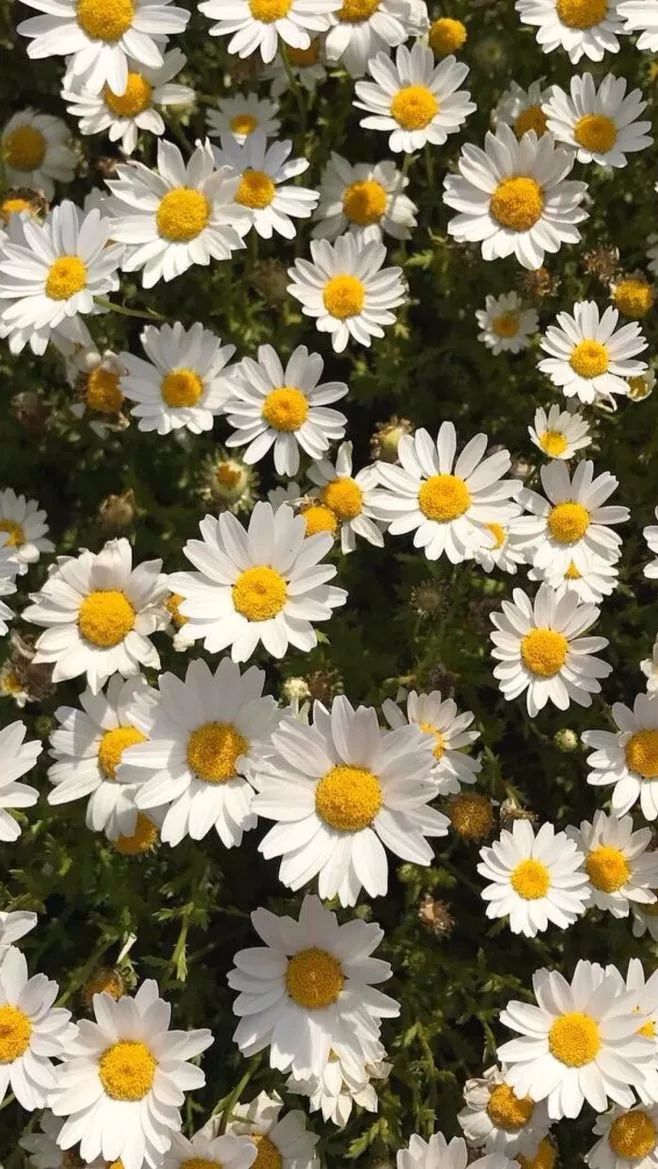 韩国最会穿衣的权志龙竟然是个雏菊控连王一博和周杰伦都要为他打call