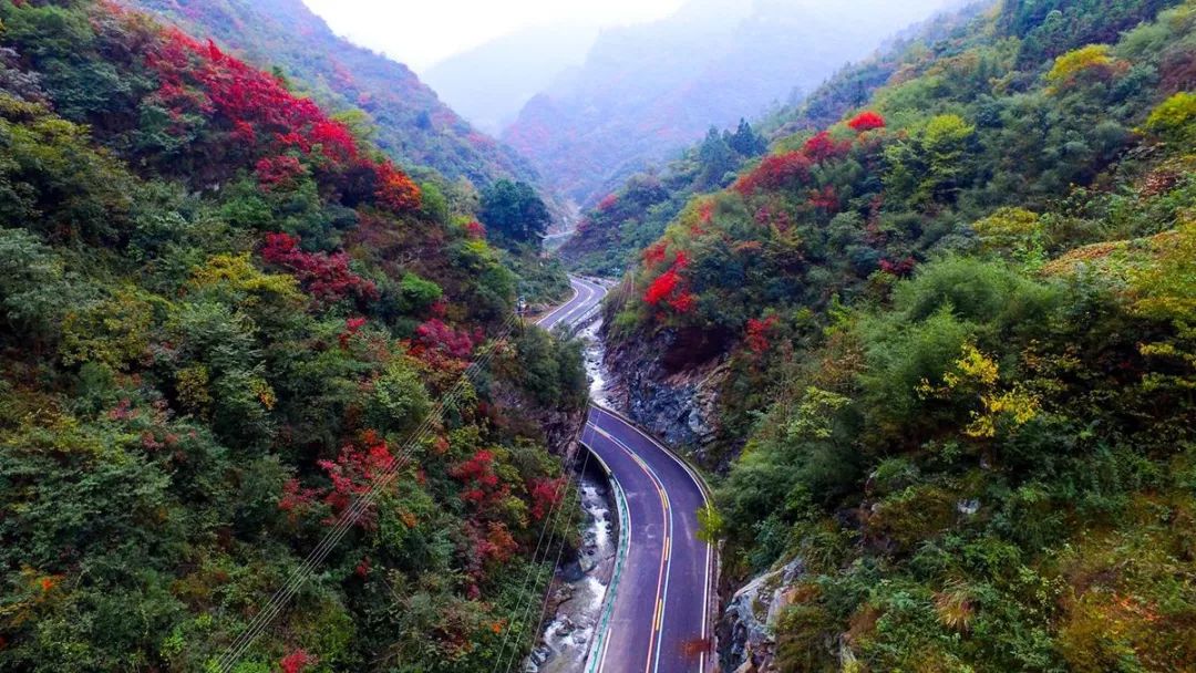 綠水青山變金山銀山 白河是如何做到的_旅遊